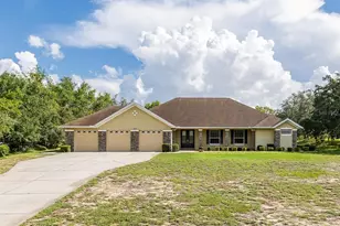 343 Royal Palm Way, Spring Hill, FL 34608 - Photo 1