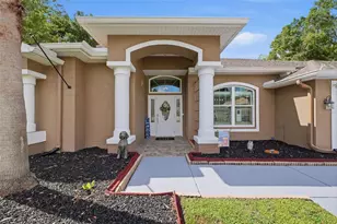 4710 Basswood St, Land O Lakes, FL 34639 - Photo 3