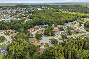 4710 Basswood St, Land O Lakes, FL 34639 - Photo 45