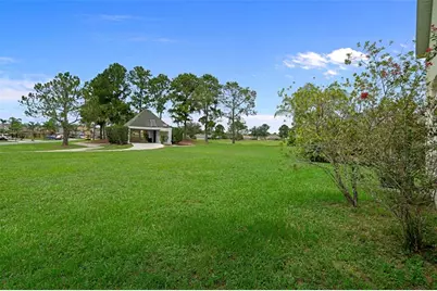 23836 Hastings Way, Land O Lakes, FL 34639 - Photo 45