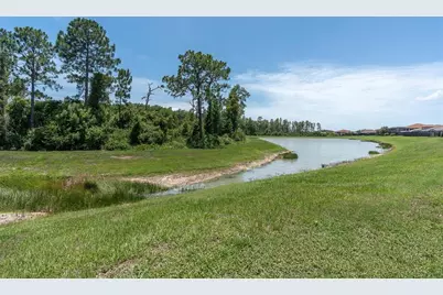 11736 Ranchers Gap Drive, Odessa, FL 33556 - Photo 55