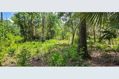02-25-16-0000-00300-0042 State Road 52, Hudson, FL 34667 - Photo 11