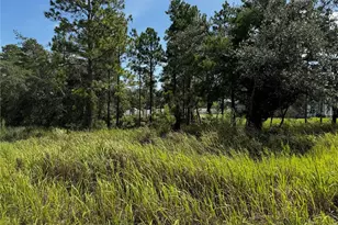Lot 14 Barnevelde Rd, Weeki Wachee, FL 34614 - Photo 1