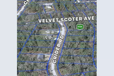 Crider Road #3, Weeki Wachee, FL 34614 - Photo 3