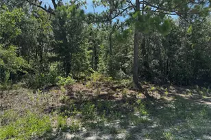 Crider Rd, Weeki Wachee, FL 34614 - Photo 1