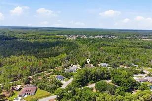 12510 Payson St, New Port Richey, FL 34654 - Photo 31