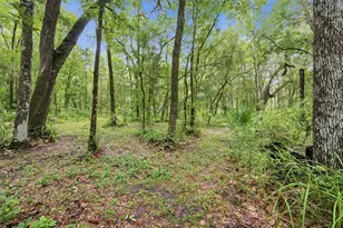 16184 Paxford Ln, Brooksville, FL 34601 - Photo 37