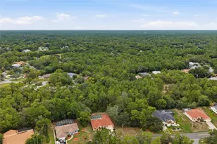 184 Pine St, Homosassa, FL 34446 - Photo 49