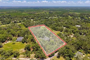 15234 Scanio, Spring Hill, FL 34610 - Photo 97