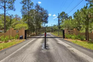 15234 Scanio, Spring Hill, FL 34610 - Photo 9