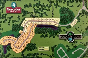 15041 Princewood Ln, Land O Lakes, FL 34638 - Photo 7