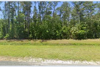 00 SE US 19 Highway, Otter Creek, FL 32683 - Photo 3