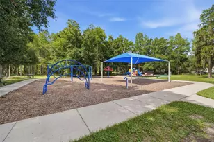 14026 Jacobson Dr, Odessa, FL 33556 - Photo 57