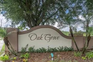 24308 Landing Dr, Lutz, FL 33559 - Photo 51