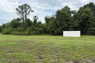 11905 Castine St, New Port Richey, FL 34654 - Photo 9
