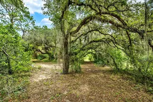 11251 Salina St, Brooksville, FL 34614 - Photo 45