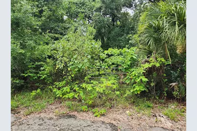 00 Oak Drive #Tract 25, Hudson, FL 34669 - Photo 5