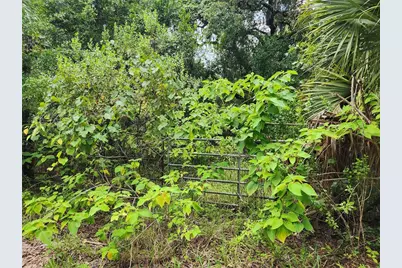 00 Oak Drive #Tract 25, Hudson, FL 34669 - Photo 3