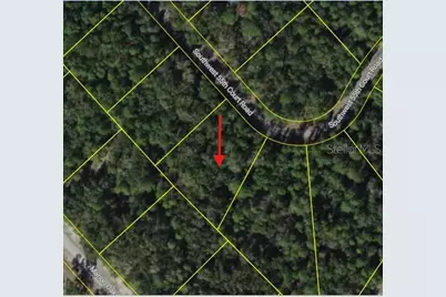 0 SW 55th Court Road, Ocala, FL 34473 - Photo 3