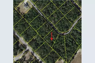 0 SW 55th Court Road, Ocala, FL 34473 - Photo 5