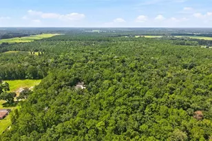 18308 Valor Path, Brooksville, FL 34604 - Photo 59