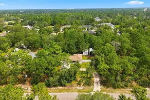 11095 Flatwood Ave, Weeki Wachee, FL 34613 - Photo 29