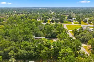 11095 Flatwood Ave, Weeki Wachee, FL 34613 - Photo 31