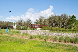 13636 Stevenson Ln, Odessa, FL 33556 - Photo 61