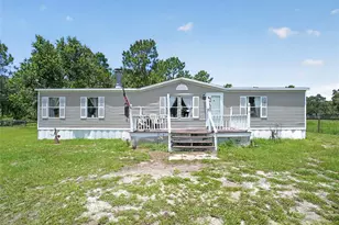 5730 SE 120 Ave, Morriston, FL 32668 - Photo 3