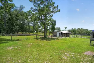 5730 SE 120 Ave, Morriston, FL 32668 - Photo 51