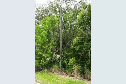 186 Avon Park Cutoff Road, Frostproof, FL 33843 - Photo 11