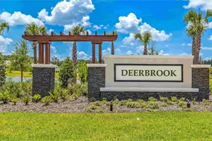 7181 Broad River Ave, Land O Lakes, FL 34638 - Photo 45