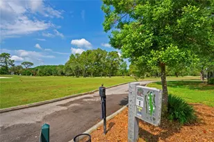 4 Spruce Pine Ct N, Homosassa, FL 34446 - Photo 73