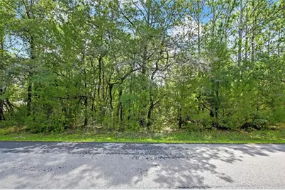 0 English Sparrow Road, Weeki Wachee, FL 34614 - Photo 3