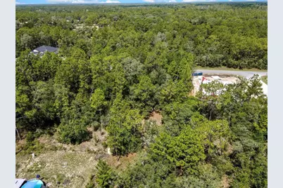 0 English Sparrow Road, Weeki Wachee, FL 34614 - Photo 11