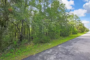 0 English Sparrow Rd, Weeki Wachee, FL 34614 - Photo 1