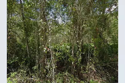 11457 Tulane Street, New Port Richey, FL 34654 - Photo 1