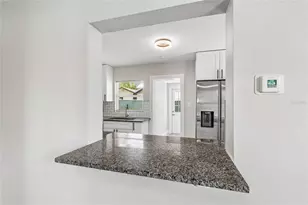 203 E Emma St, Tampa, FL 33603 - Photo 15
