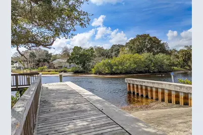 1805 Mountain Ash Way, New Port Richey, FL 34655 - Photo 61