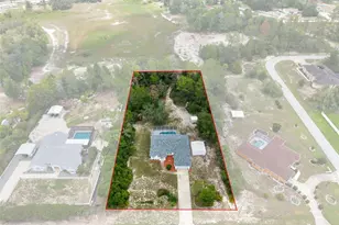 7401 Blackbird Ave, Weeki Wachee, FL 34613 - Photo 5