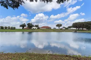 30798 Water Lily Dr, Brooksville, FL 34602 - Photo 59