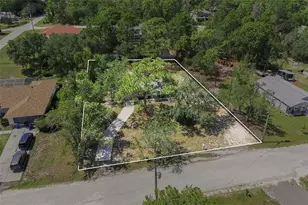 10380 Golden Ave, Weeki Wachee, FL 34613 - Photo 3