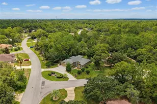 1 Plumbago Dr, Homosassa, FL 34446 - Photo 47