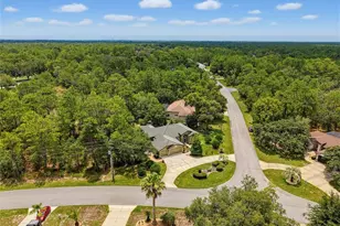 1 Plumbago Dr, Homosassa, FL 34446 - Photo 49