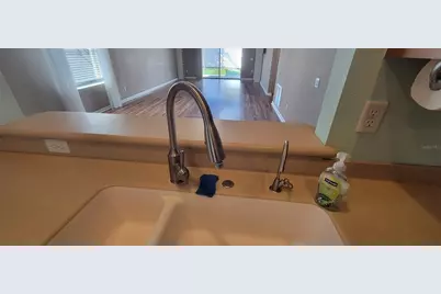1109 China Aster Way, Brooksville, FL 34604 - Photo 11