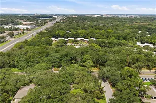 6214 Dewdrop Way, Temple Terrace, FL 33617 - Photo 41