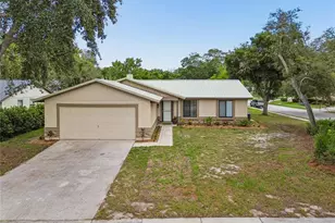 10305 Turkey Oak Dr, New Port Richey, FL 34654 - Photo 1