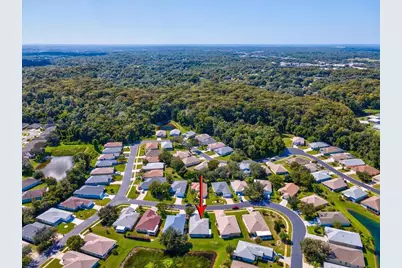 11404 Turtle Dove Place, New Port Richey, FL 34654 - Photo 41