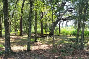 2484 Culbreath Rd, Brooksville, FL 34602 - Photo 67