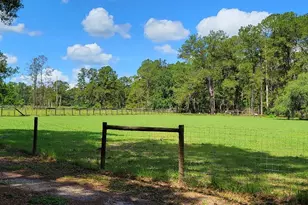 2484 Culbreath Rd, Brooksville, FL 34602 - Photo 65